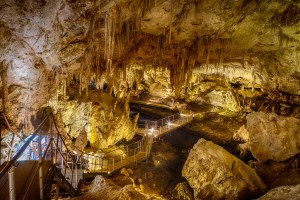 Mammoth Cave.jpg