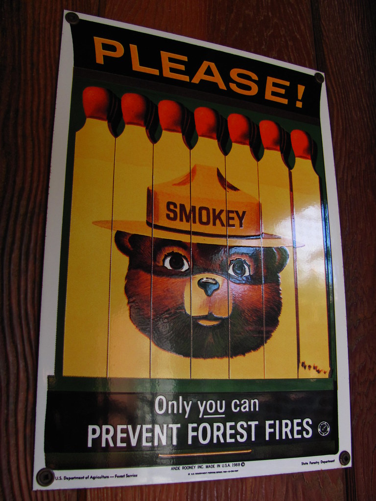 Please! Only YOU Can Prevent Forest Fires!.jpg