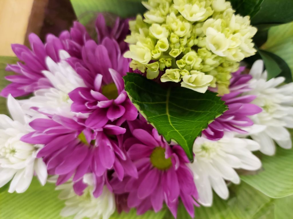 Featured Photo: Flower Bouquet Photo of the Day – Third Week of October ’25