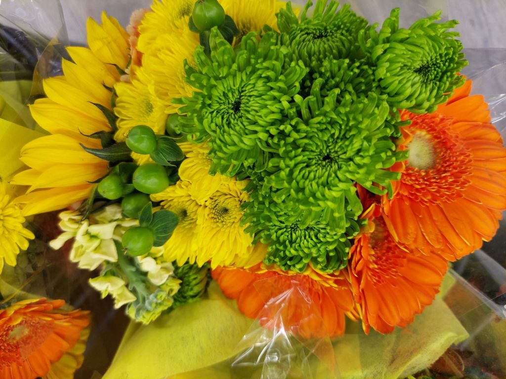 Featured Photo: Flower Bouquet Photo of the Day – First Week in November ’25