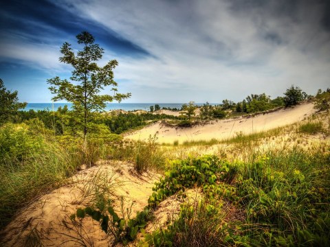 Indiana Dunes State Park.jpg