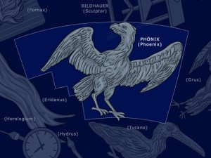 phoenix.jpg