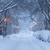 snow covers cars parked on road side.jpg