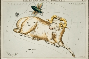 Constellations of the Month: December – Aries