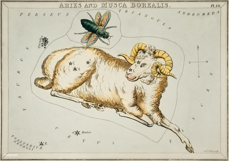 Sidney Hall’s (1831) astronomical chart illustration of Aries and Musca Borealis. Original from Library of Congress. Digitally enhanced by rawpixel..jpg