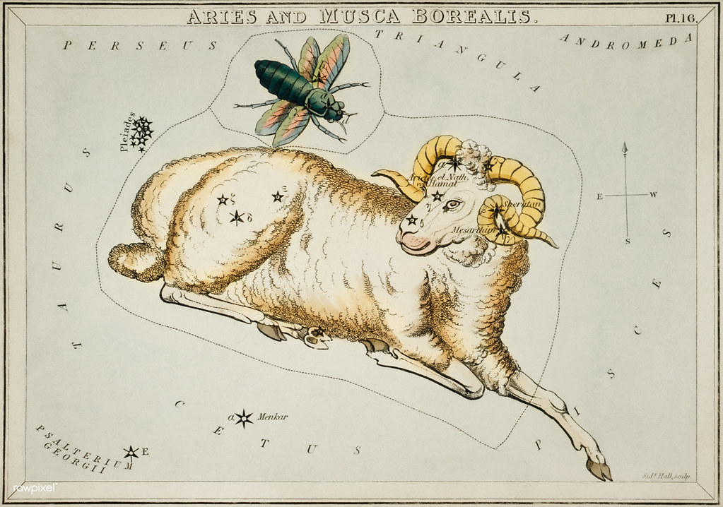 Constellations of the Month: December – Aries