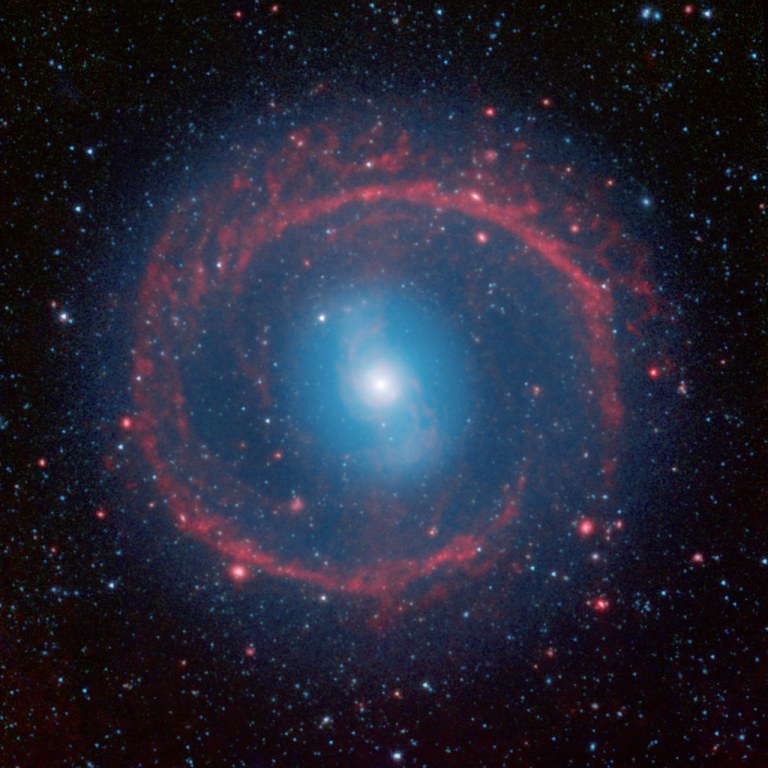 Star Formation Ring.jpg