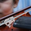 violin.jpg