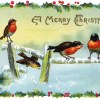 Winter Song Birds - a Vintage Christmas Card Illustration.jpg