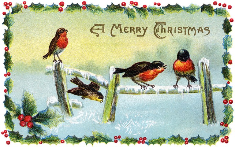 Winter Song Birds - a Vintage Christmas Card Illustration.jpg