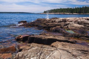 Images of Acadia. Near Seawall, west side of Mount Desert Island, Acadia National Park..jpg