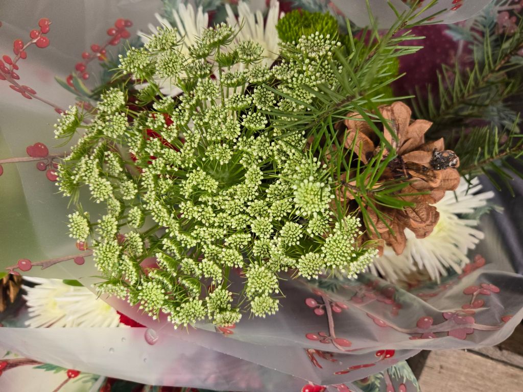 Featured Photo: Christmas Flower of the Day ’25 – Bouquet #3