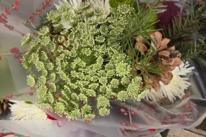 Featured Photo: Christmas Flower of the Day ’25 – Bouquet #3