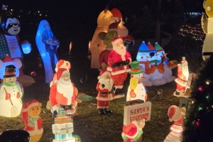Featured Photo + Video: The 25 Days of Christmas – Day 19: Yuletide on Highland Avenue, Tinley Park