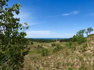 Saugatuck Dune Rides.jp