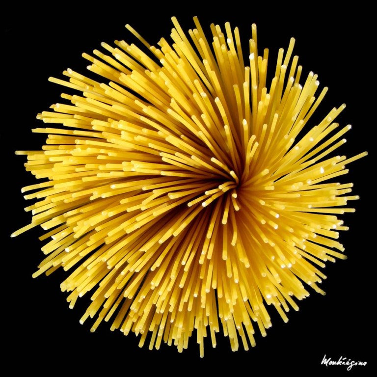Bouquet de sphaghetti - Spaghetti Bouquet.jpg