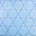 Happy National Bubble Wrap Day – 2026