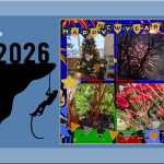 Featured Photos Montage – The New Year’s & Flowers Presentation – 2026