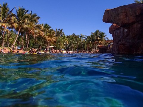 Discovery Cove - Swimming with Fish.jpg