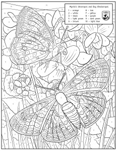 usfws-myrtles-silverspot-and-bay-checkerspot-color-number.jpeg