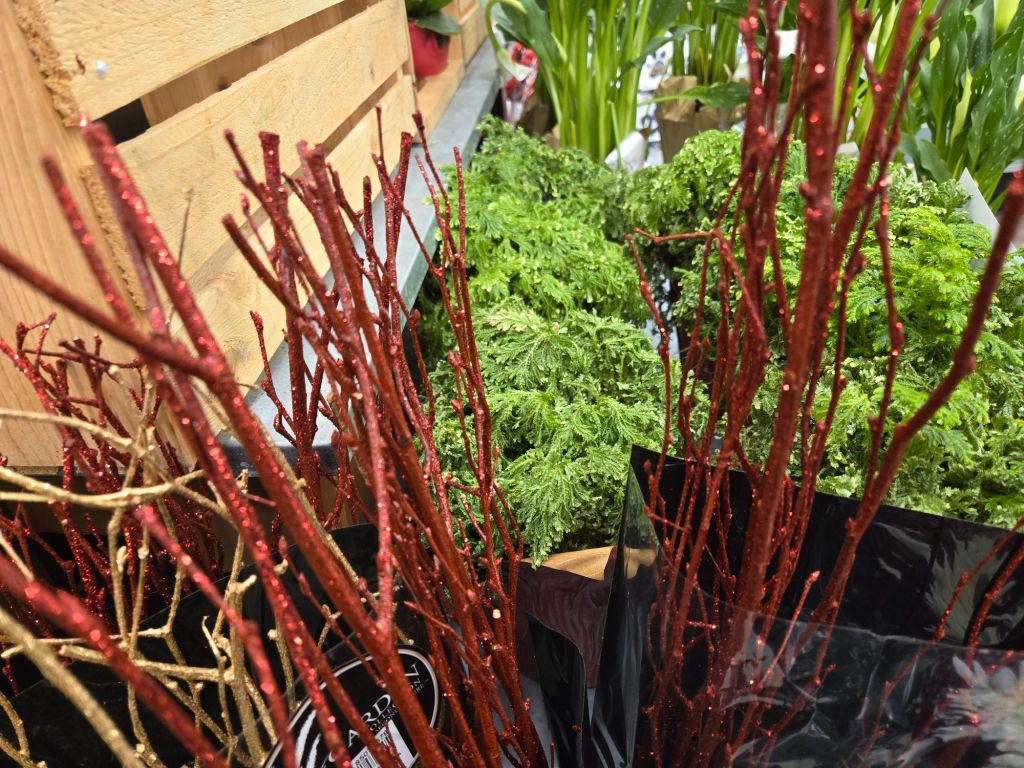 Featured Photo: New Year’s Flower of the Day ’26 – Bouquet #1