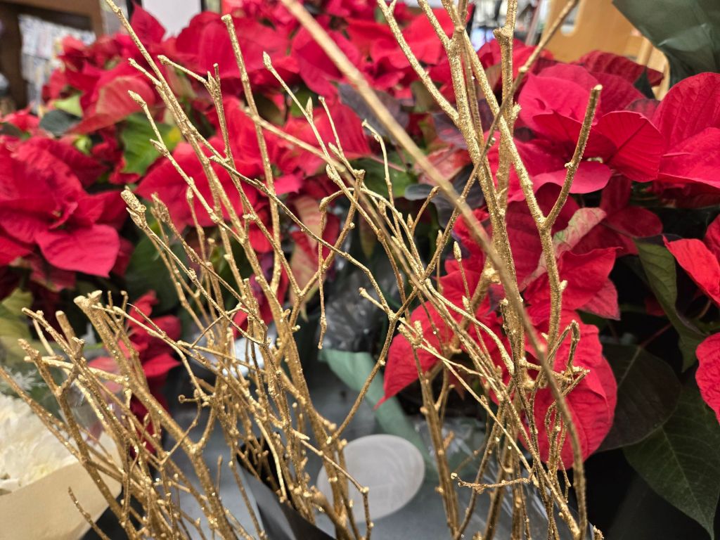 Featured Photo: New Year’s Flower of the Day ’26 – Bouquet #2