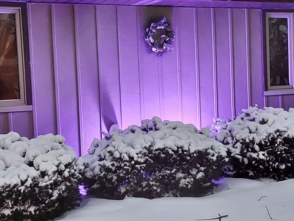 Featured Photo: Winter Weather Special – Snowy Evening at Versatileer, Oak Forest