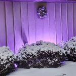 Featured Photo: Winter Weather Special – Snowy Evening at Versatileer, Oak Forest