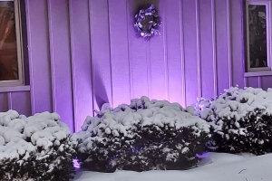 Featured Photo: Winter Weather Special – Snowy Evening at Versatileer, Oak Forest