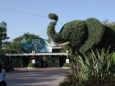 Entrance to the San Diego Zoo.jpg