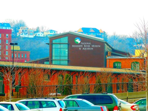 National Mississippi River Museum ^ Aquarium l - panoramio.jpg