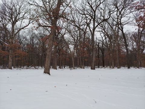 wp-17704341091072249323751947272549