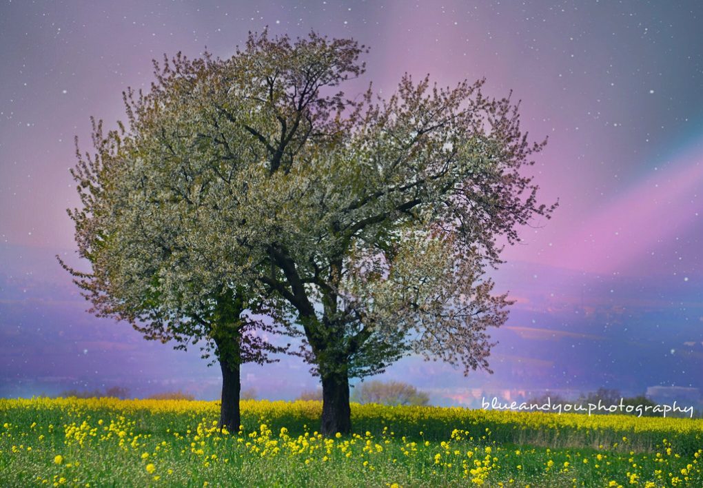 Welcome to the Spring Season – 2026