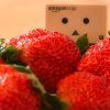 Giant strawberries.jpg