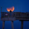 Fisherman on Venice Pier taking a photograph of the Supermoon blue blood moon with partial lunar eclipse, Venice, Florida.jpg